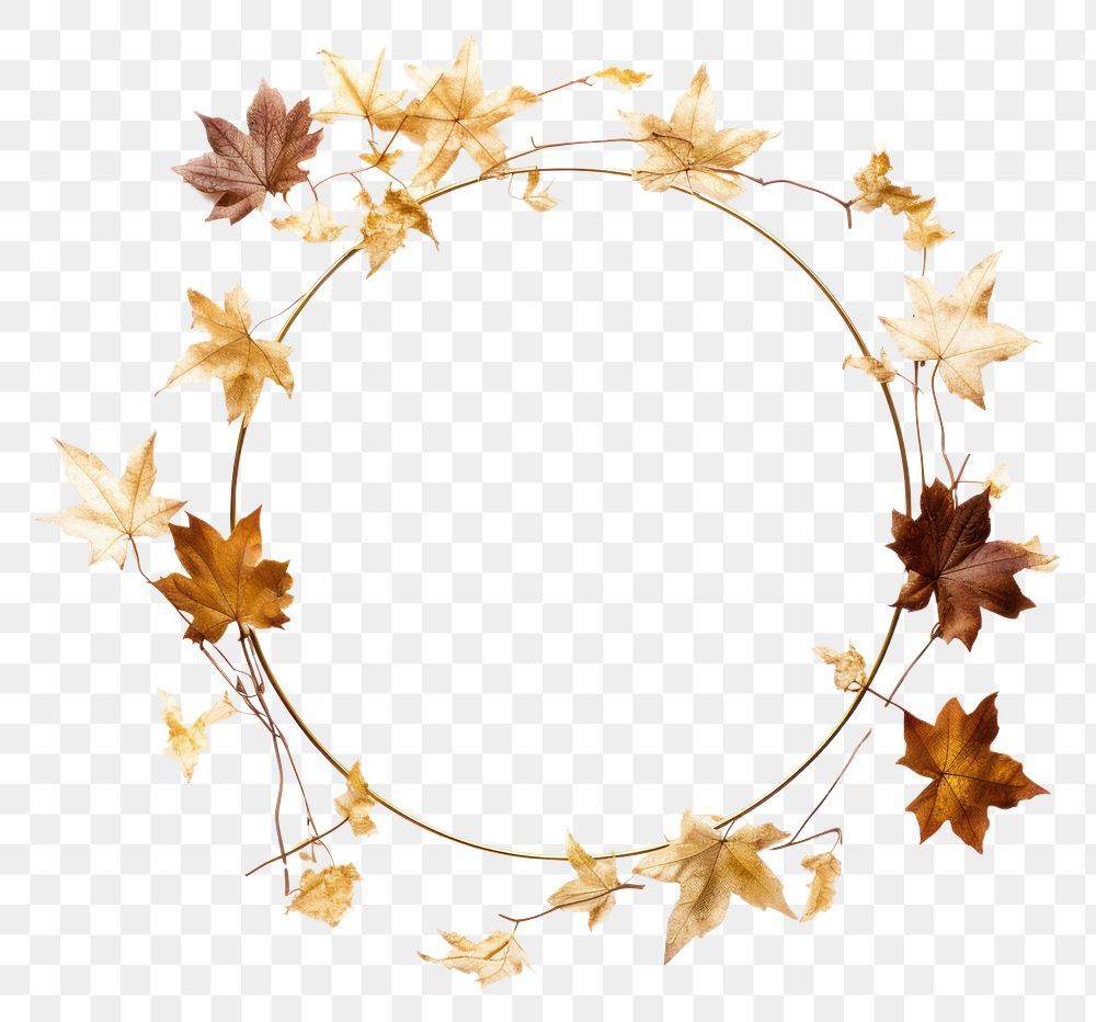 PNG  Photography circle wreath plant.