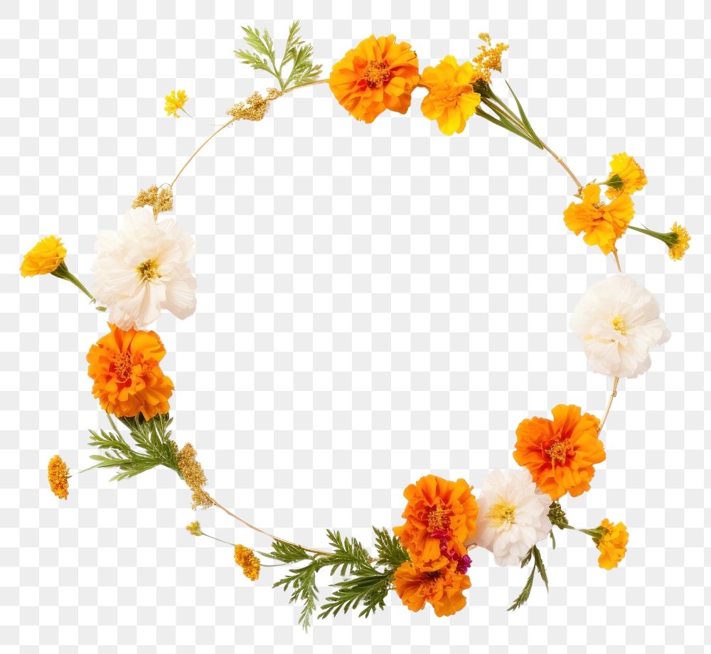 PNG  Flower marigold wreath plant.