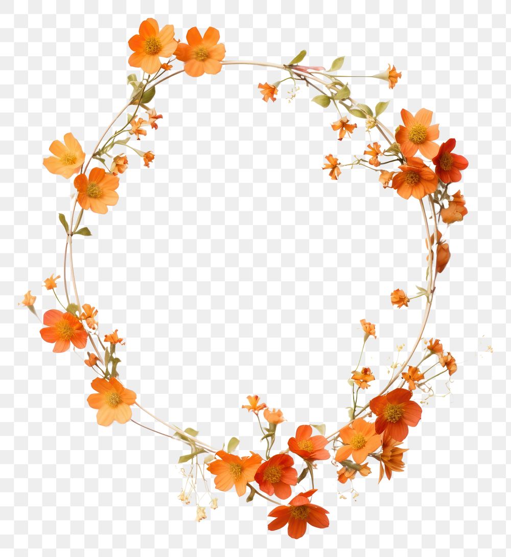 PNG  Flower jewelry wreath plant.