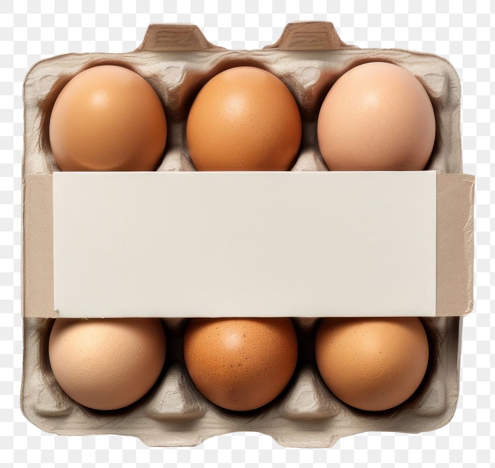 PNG Egg carton mockup whit label cardboard food box.