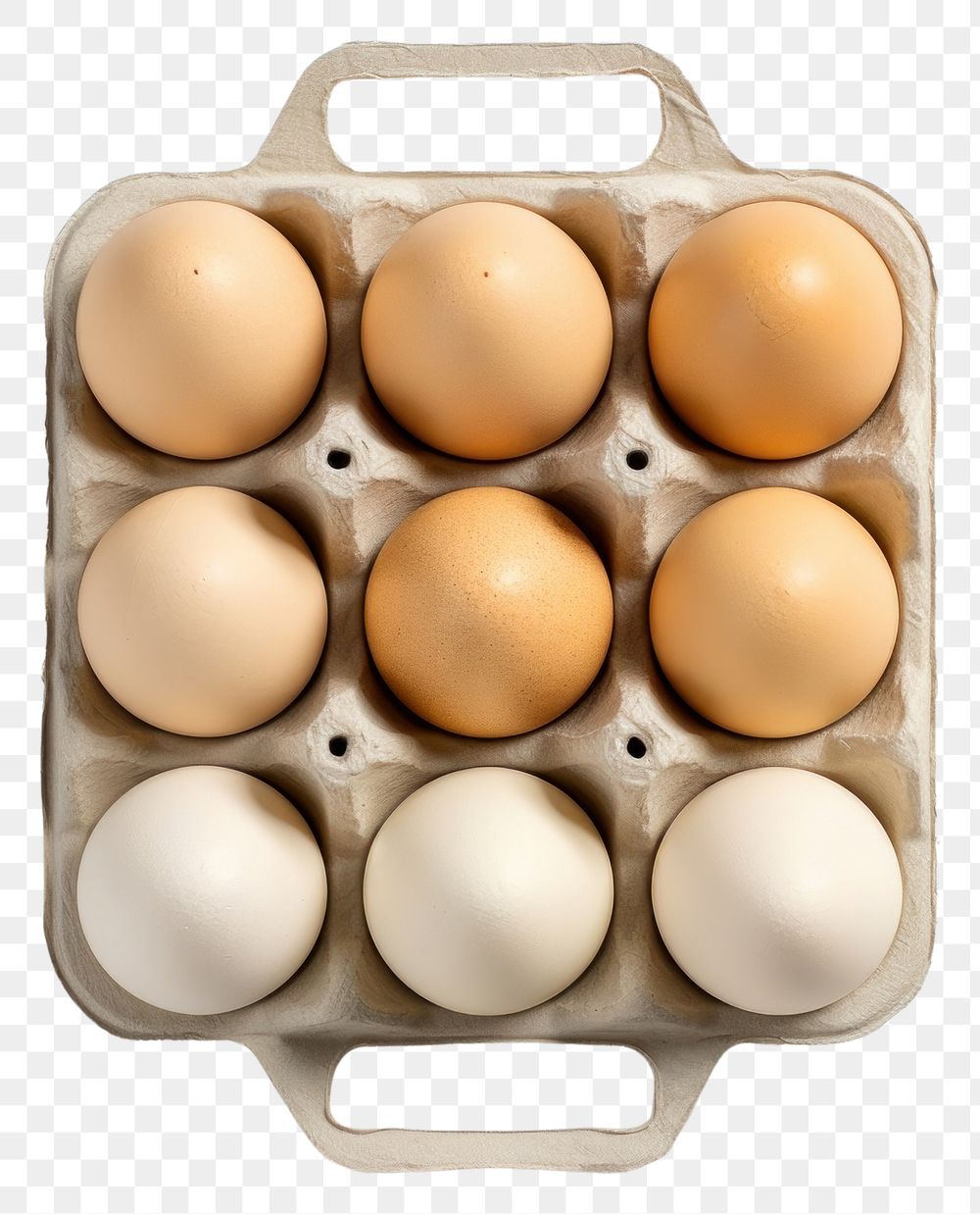 PNG Egg carton mockup food white background arrangement.