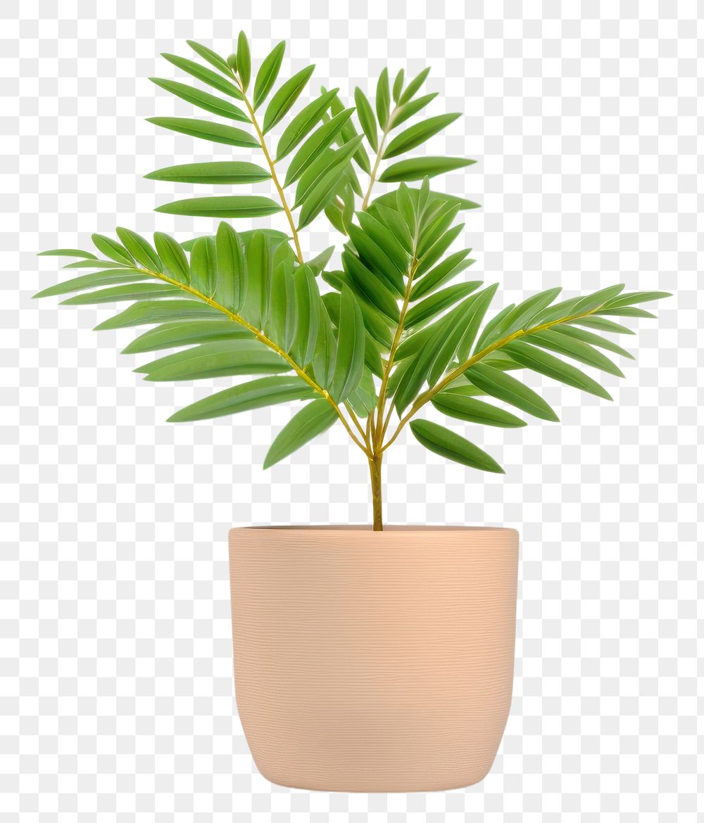 PNG Simple tree pot mockup plant leaf studio shot.