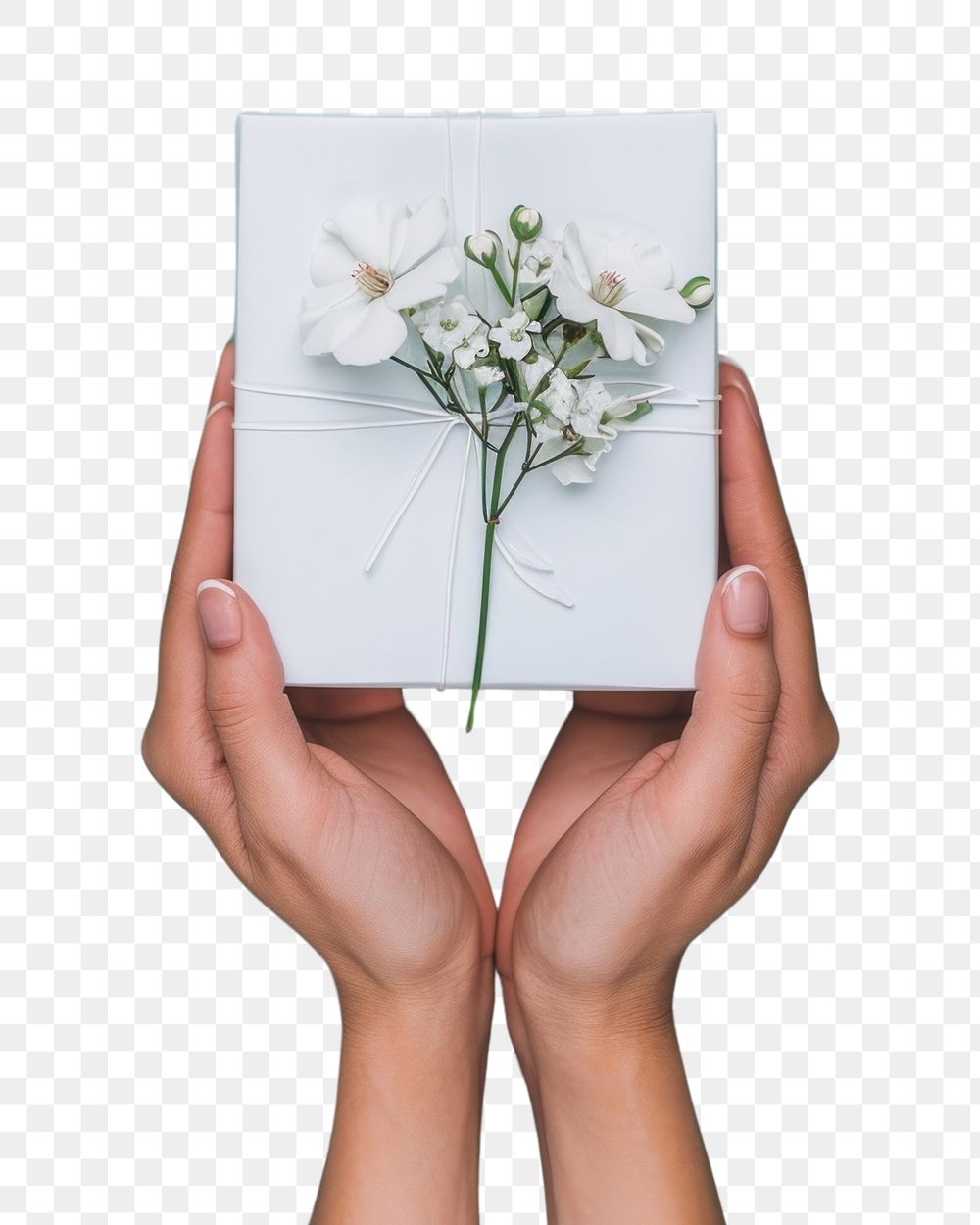 PNG Flower wrapping paper holding plant white.