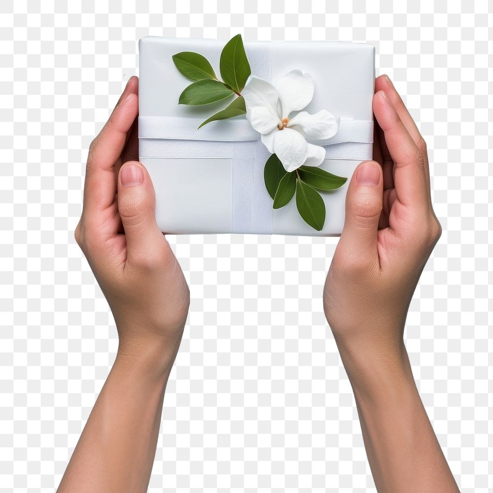 PNG Gift box holding flower plant.