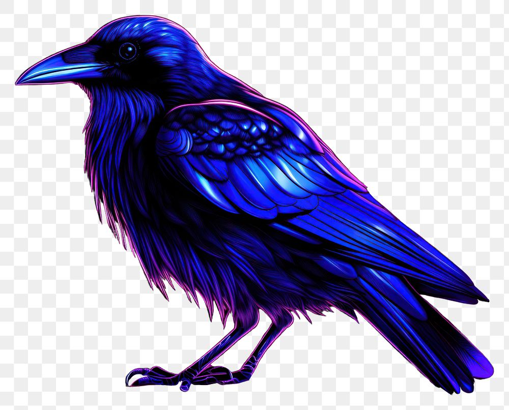 PNG Illustration crow Neon rim light animal purple bird.