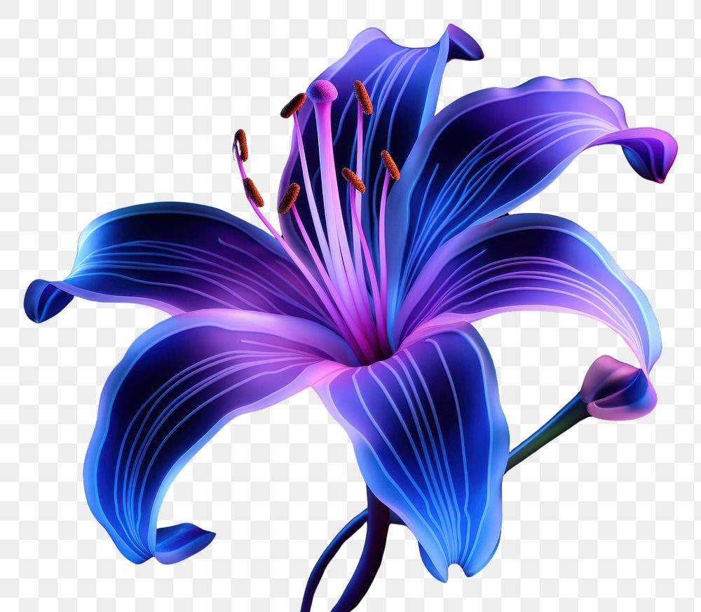 PNG Illustration lily neon rim light purple flower plant.