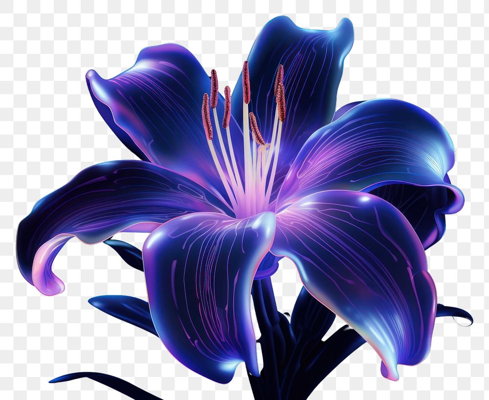 PNG Illustration lily neon rim light purple flower petal.