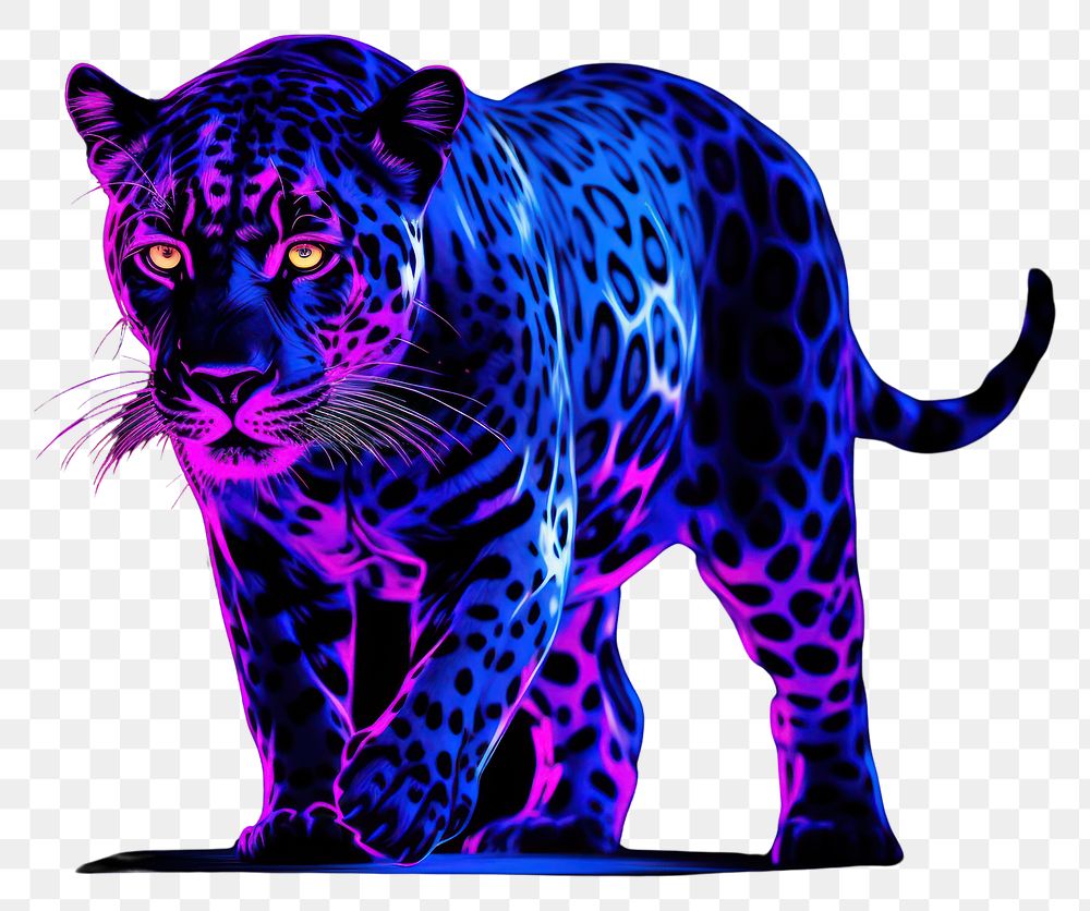 PNG Illustration roaring leopard neon rim light wildlife animal mammal.