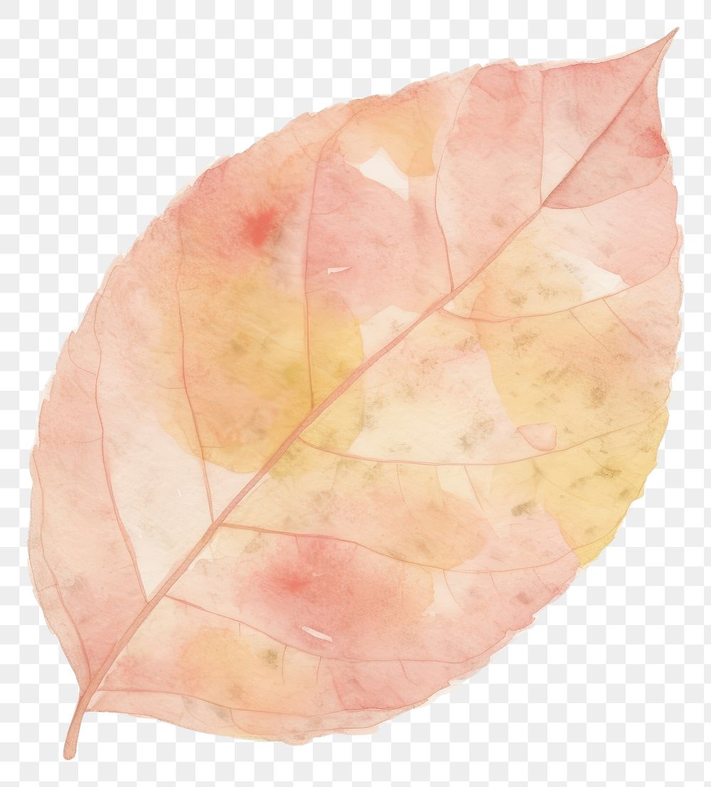 PNG Autumn leaf shape marble distort shape backgrounds plant paper.