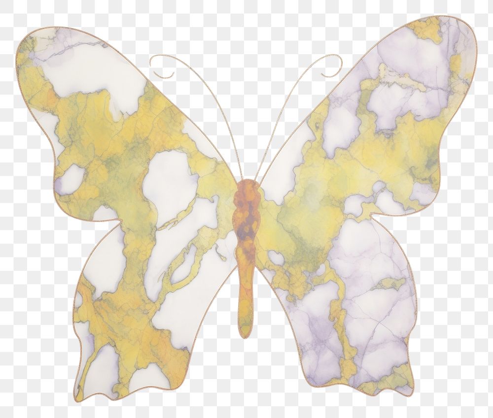 PNG Butterfly shape marble distort shape animal white background magnification.