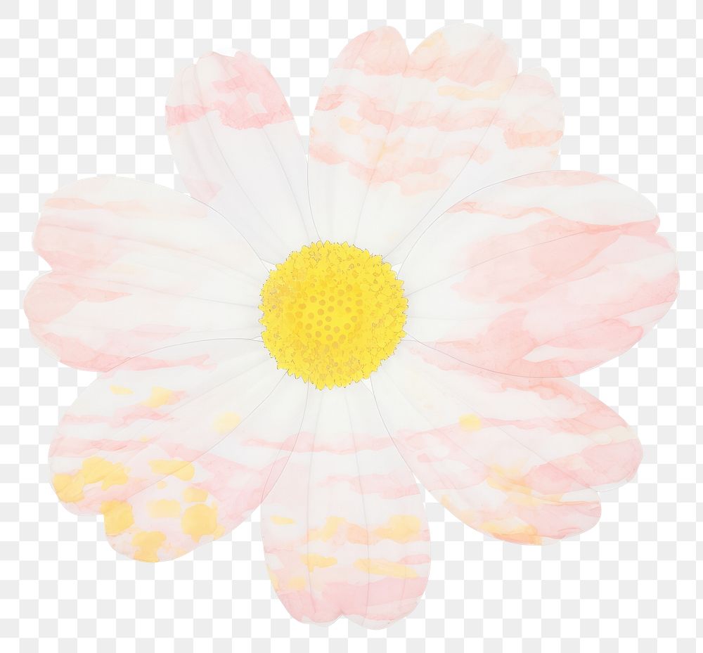PNG Daisy shape marble distort shape flower petal plant.