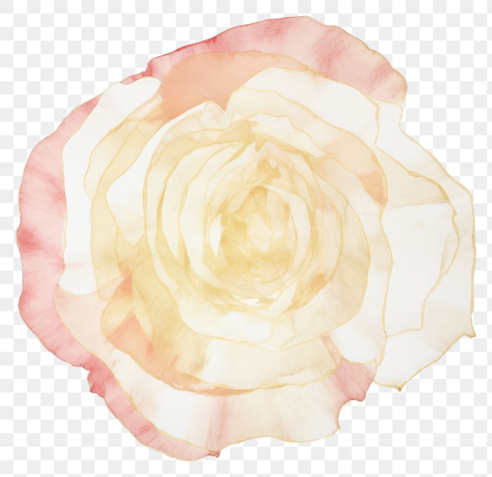PNG Gold rose shape marble distort shape flower petal plant.