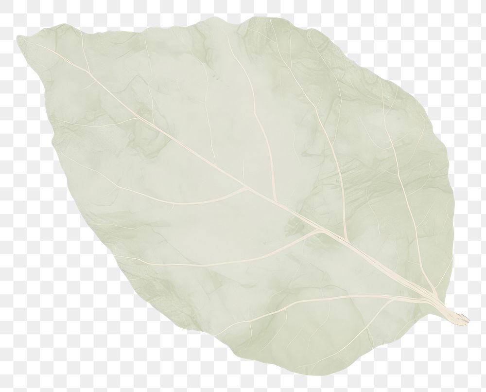 PNG Green leaf marble distort shape plant white background pattern.