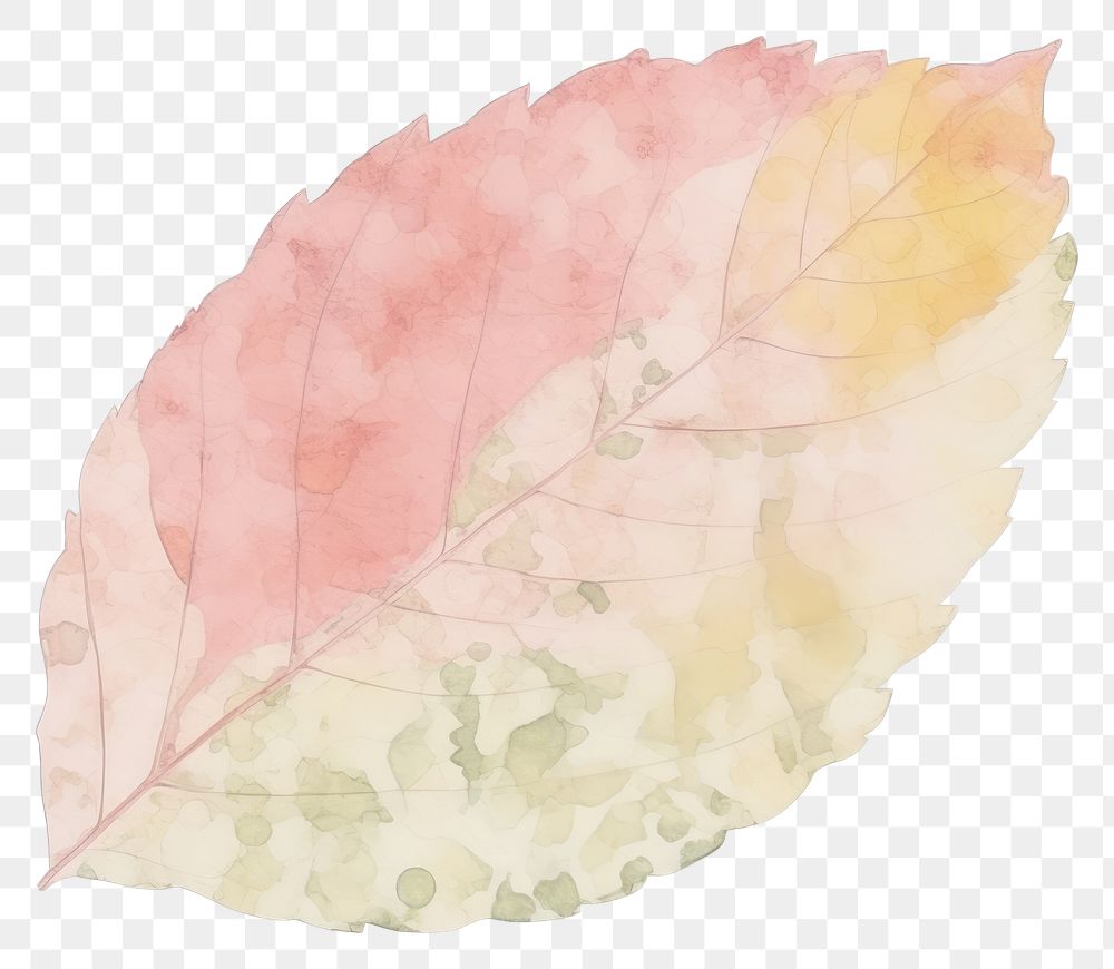 PNG Leaf marble distort shape abstract plant paper.