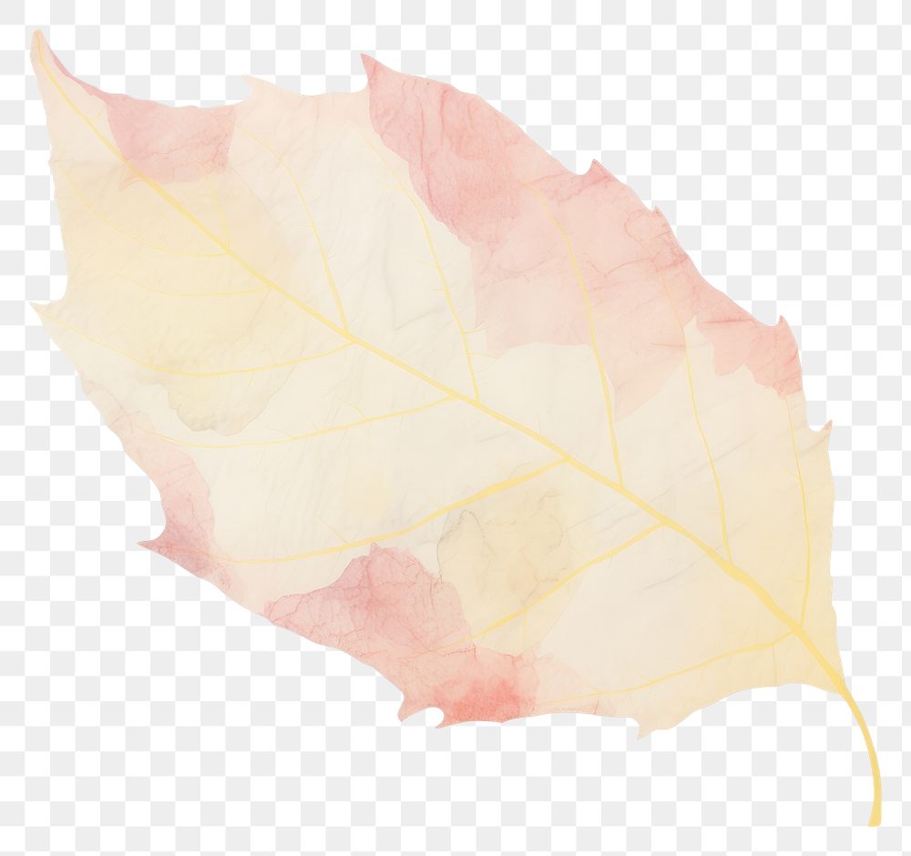 PNG Leaf shape marble distort shape backgrounds abstract plant.