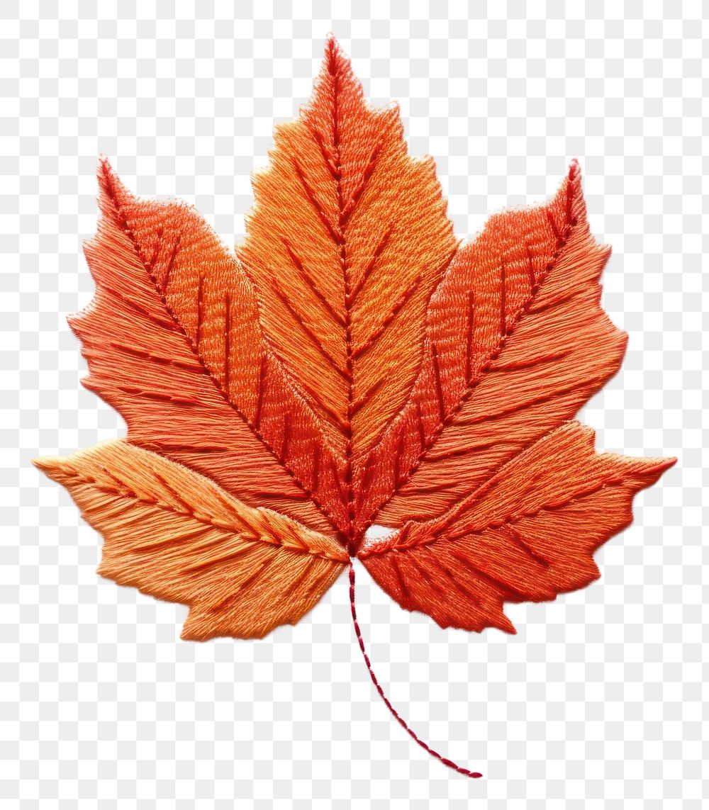 PNG Autumn leave in embroidery style plant leaf tree.