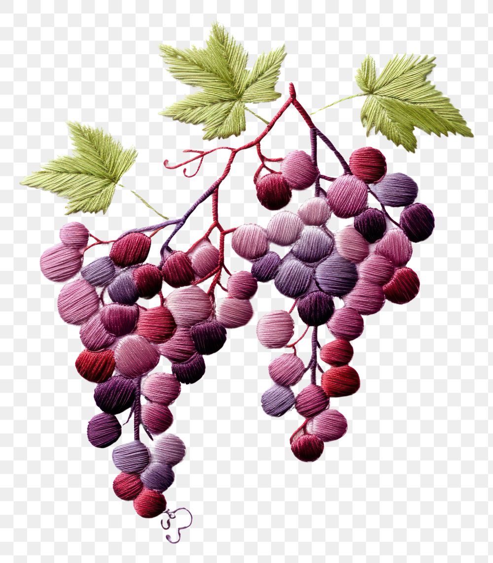 PNG Grapes in embroidery style fruit berry plant.
