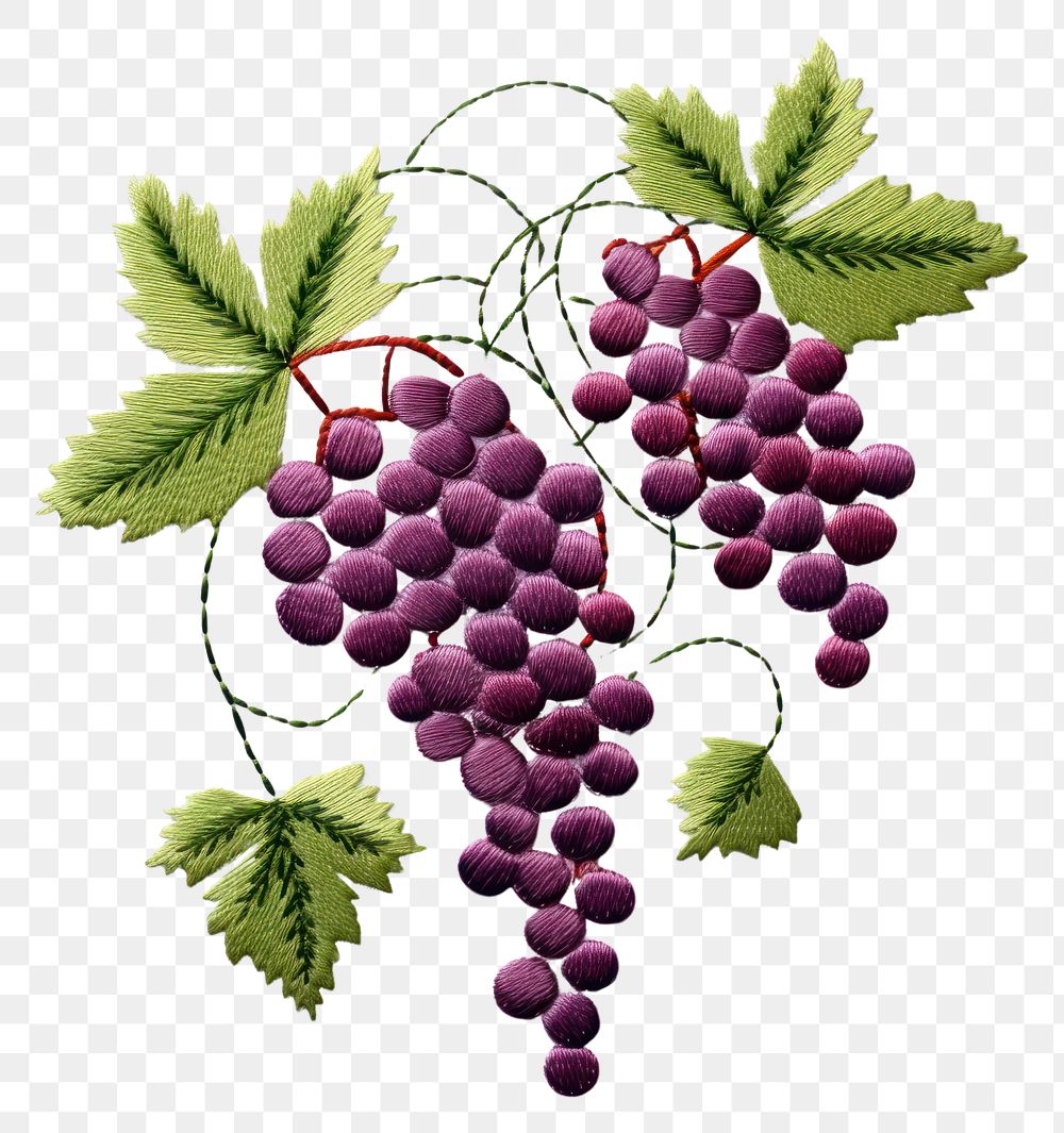 PNG Grapes in embroidery style pattern fruit plant.