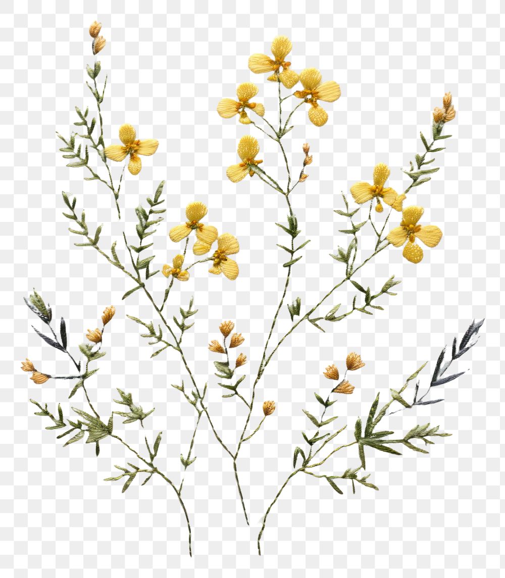 PNG Wildflower in embroidery style plant herbs fragility.