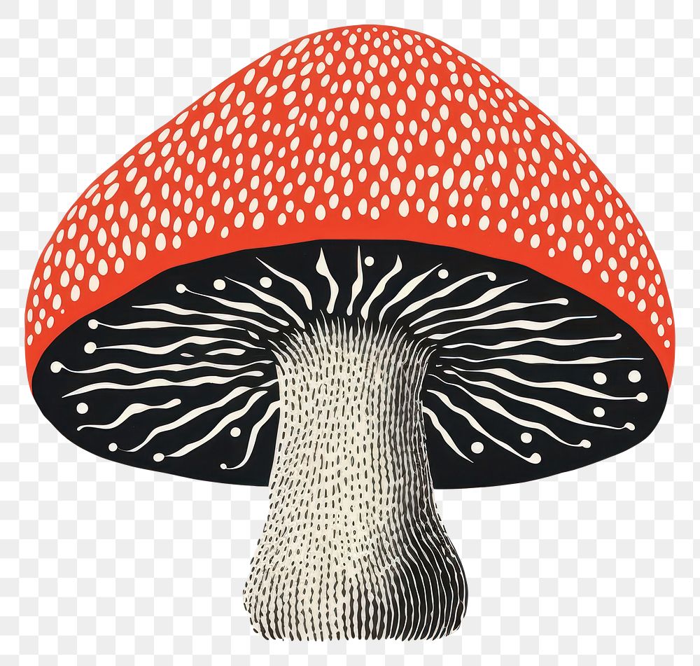 PNG Silkscreen illustration of a mushroom agaric fungus art.