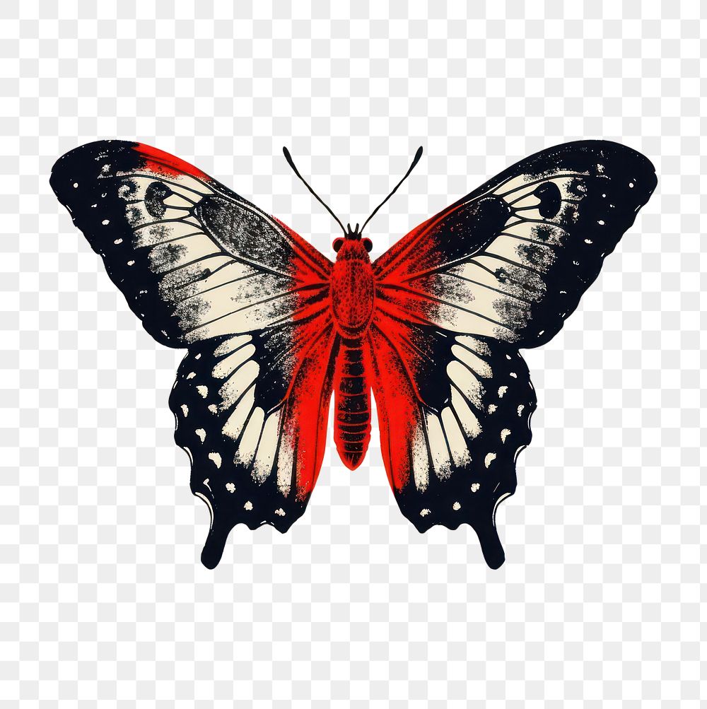 PNG Silkscreen illustration of a butterfly animal insect red.