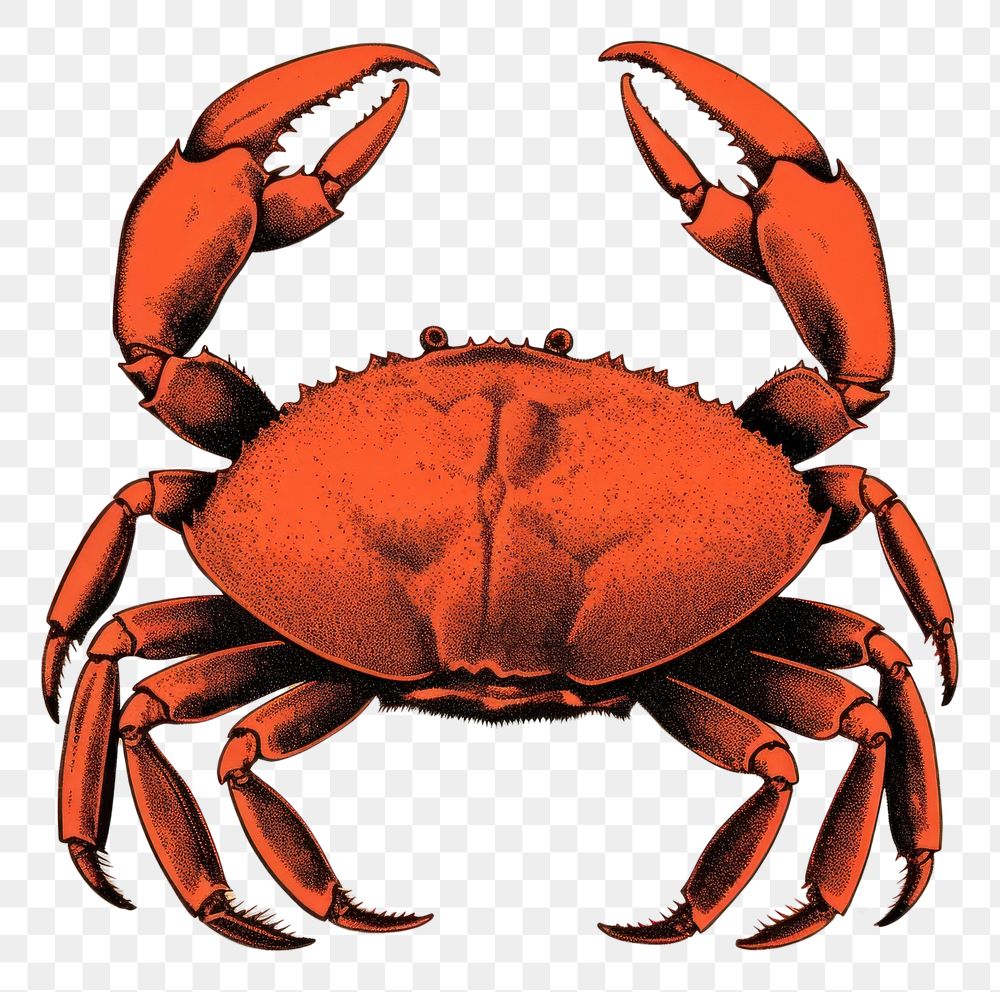 PNG Silkscreen illustration of a crab lobster seafood animal.