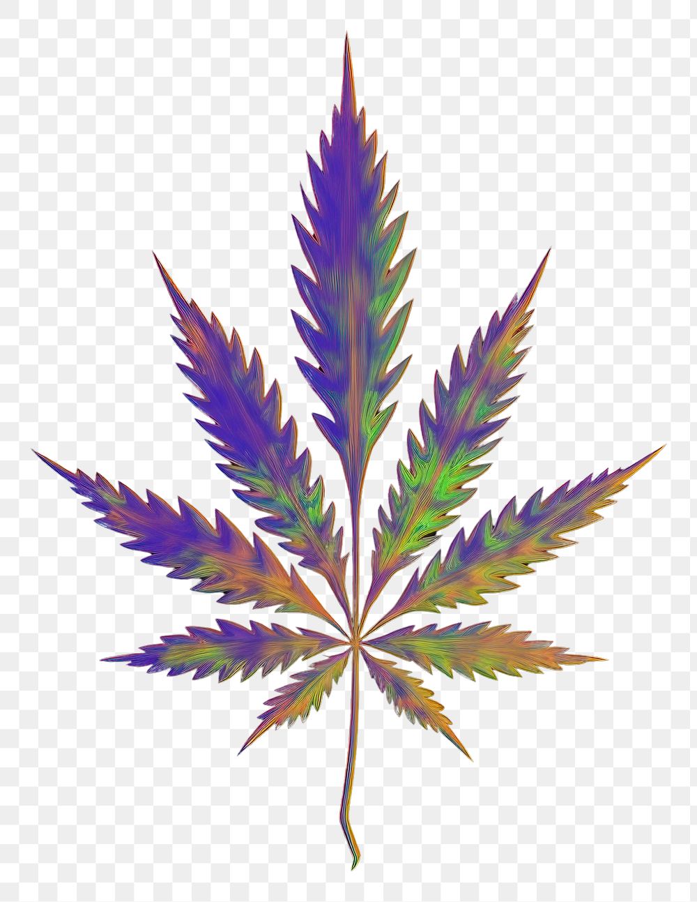 PNG  A marijuana plant leaf black background.