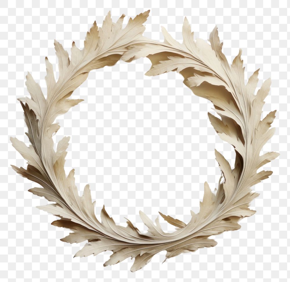 PNG Real pressed acanthus leaves wreath plant art. AI generated Image by rawpixel.