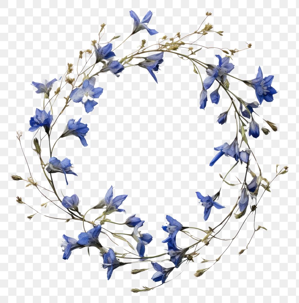 PNG Real pressed bluebells flowers wreath plant petal. AI generated Image by rawpixel.