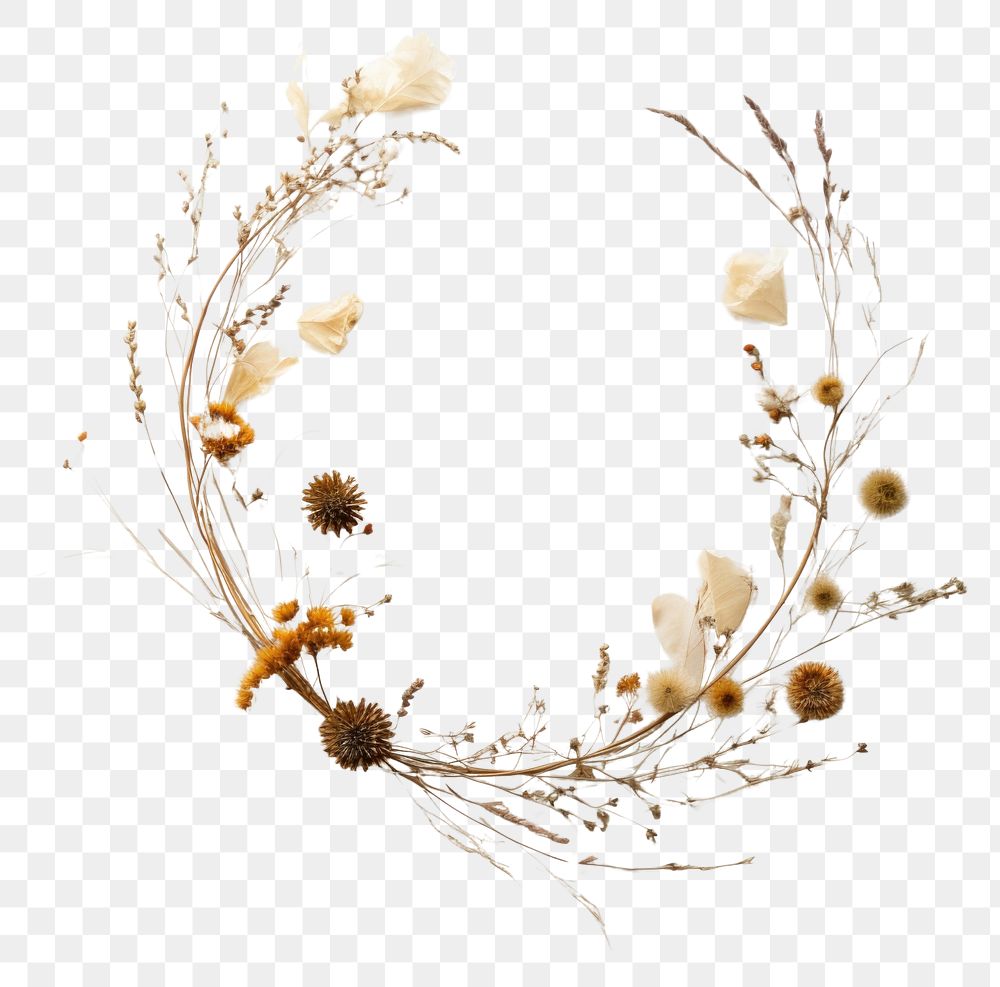 PNG Real pressed everlasting flowers wreath plant celebration. AI generated Image by rawpixel.