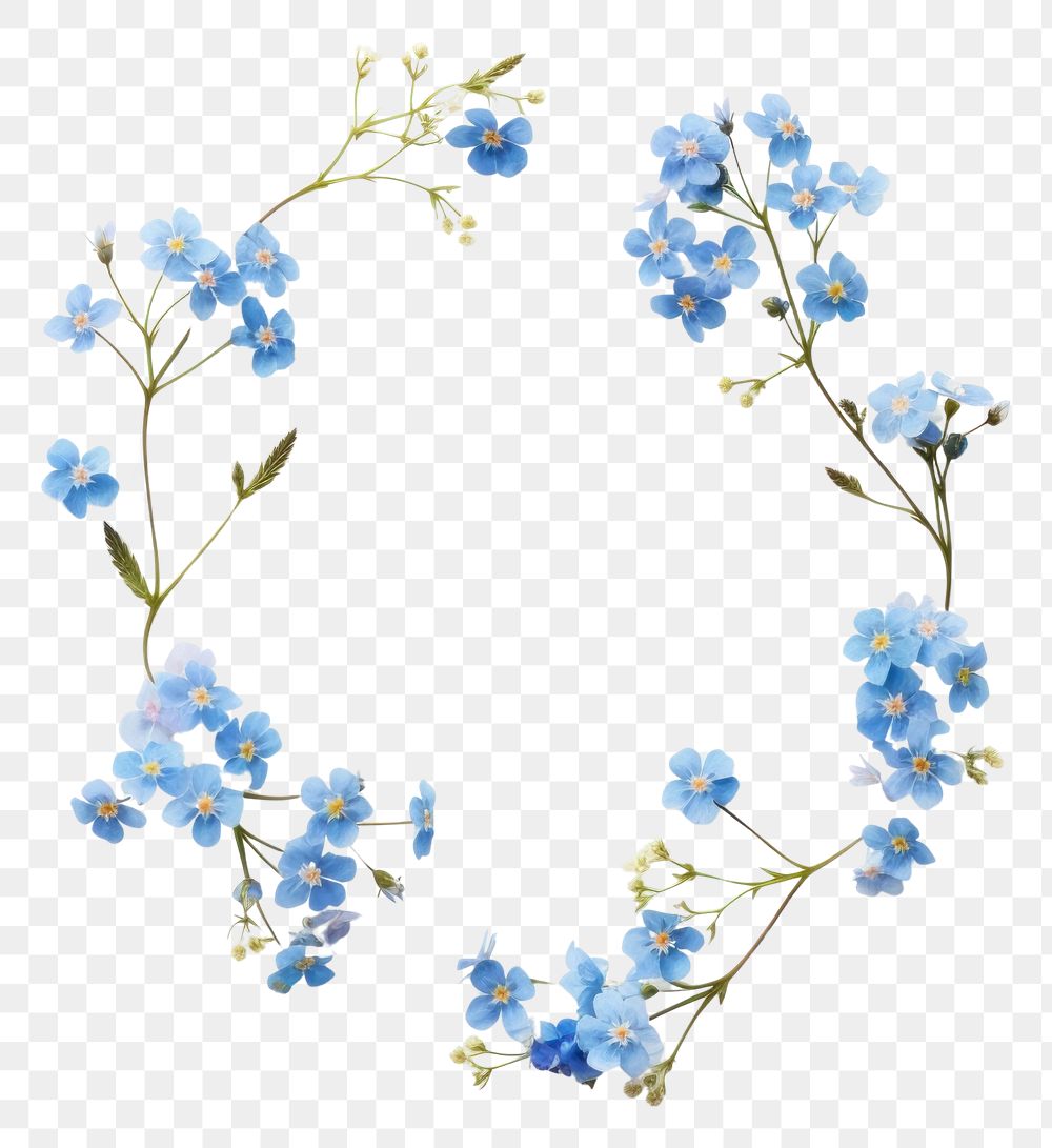 PNG Real pressed forget me not flowers jewelry wreath plant. 