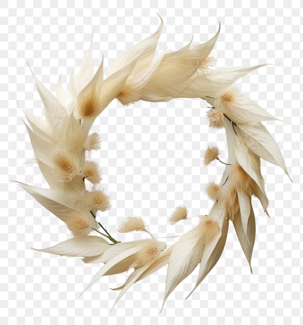 PNG Real pressed peace lily flowers wreath plant photo. AI generated Image by rawpixel.