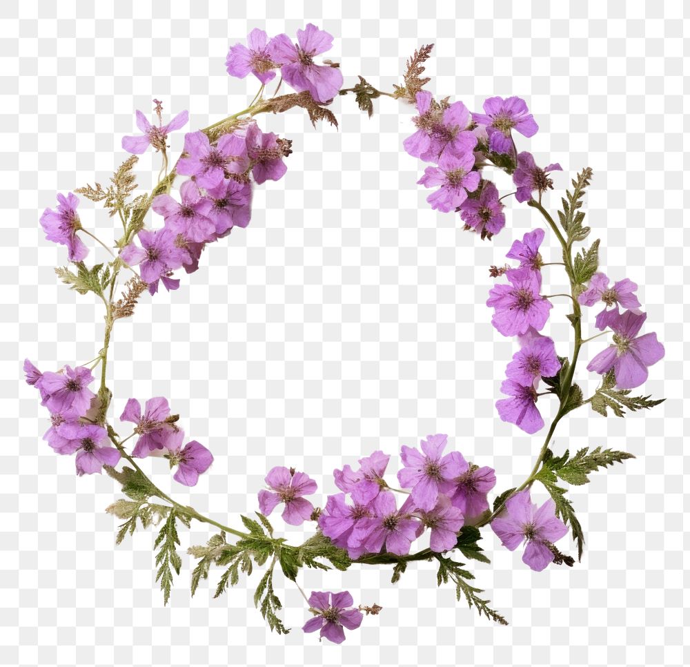 PNG Real pressed verbena flowers jewelry purple wreath. AI generated Image by rawpixel.