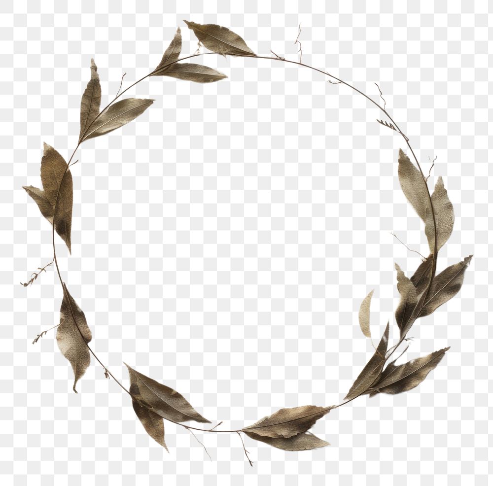 PNG Real pressed willow leaf wreath plant accessories. AI generated Image by rawpixel.
