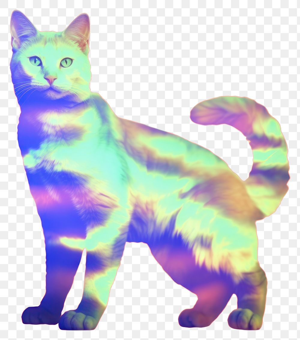 PNG  A holography cat animal mammal pet.