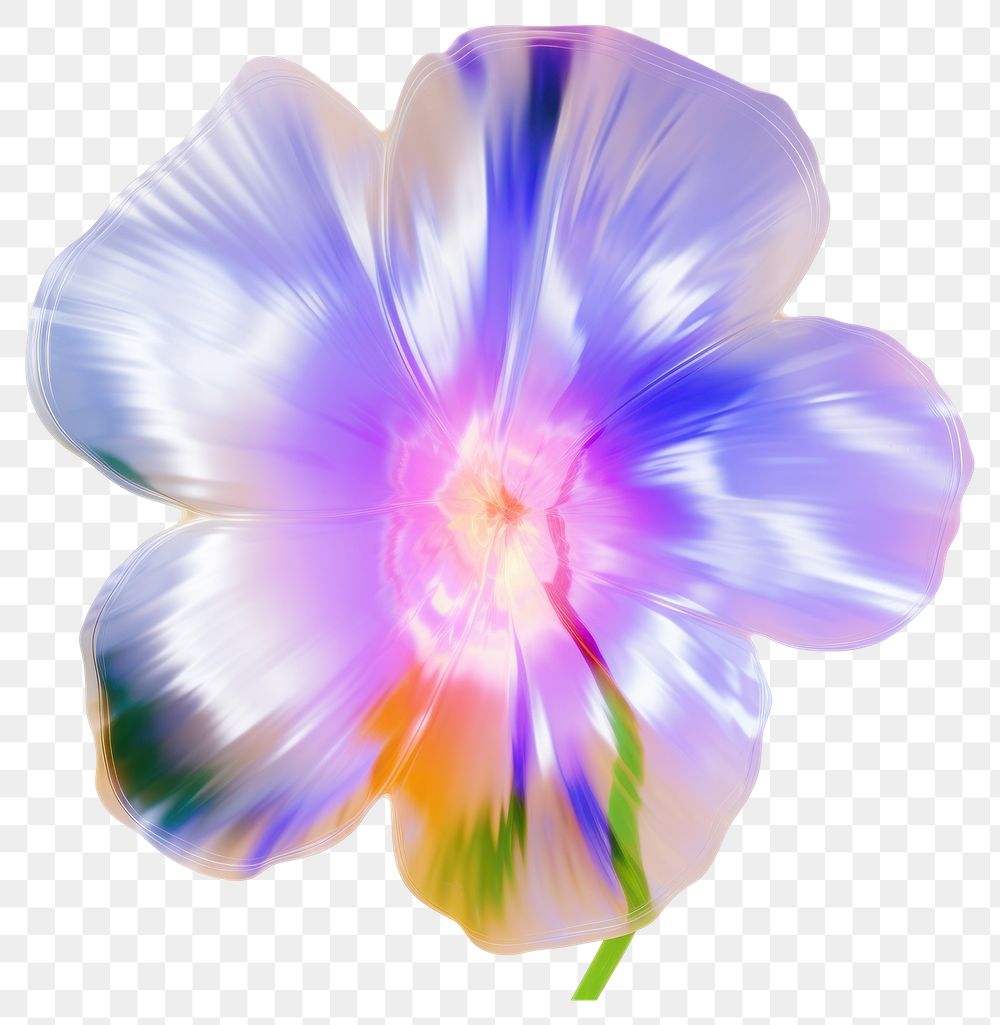 PNG  A holography flowers petal plant white background.