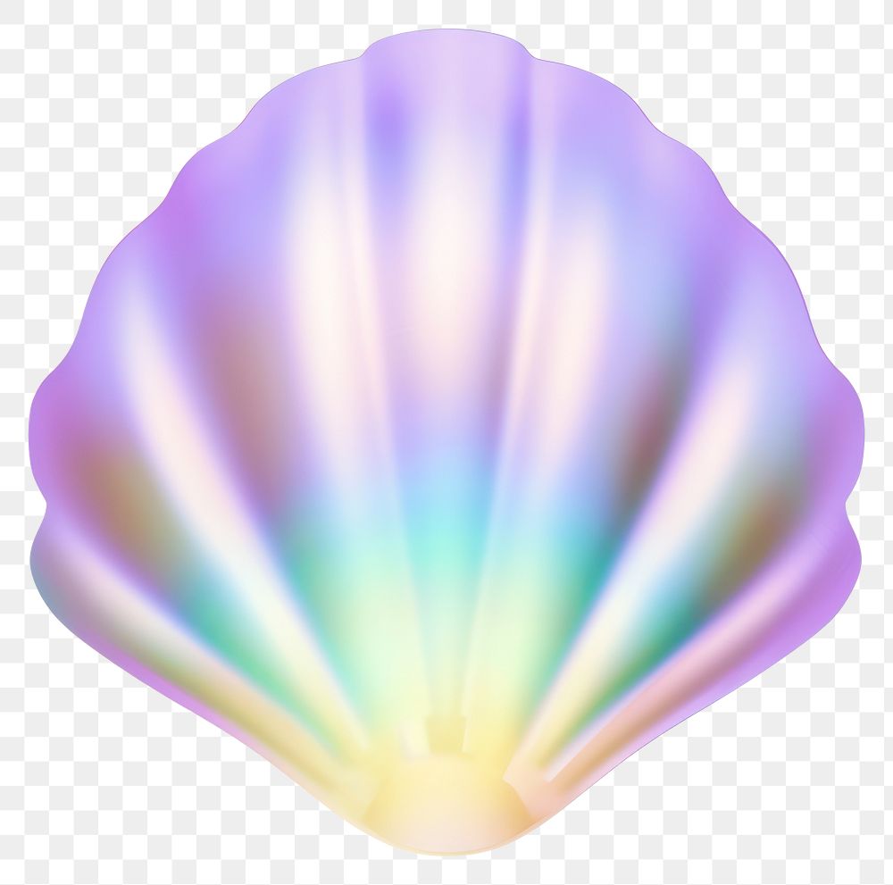 PNG  A holography shell icon clam white background single object.