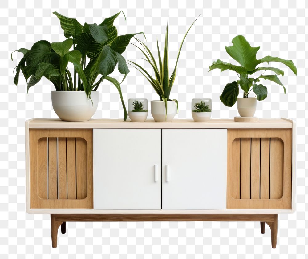 PNG  Houseplants furniture sideboard cabinet houseplant vase leaf. AI generated Image by rawpixel.