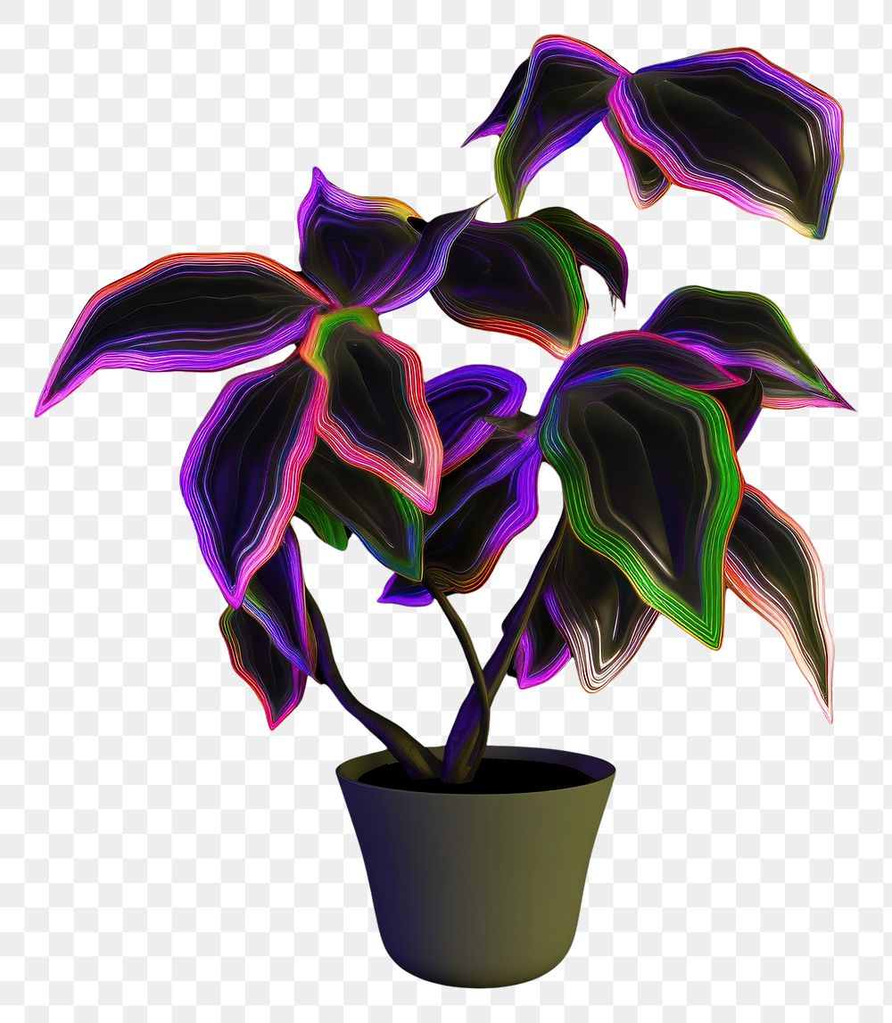 PNG  A plant purple light black background.