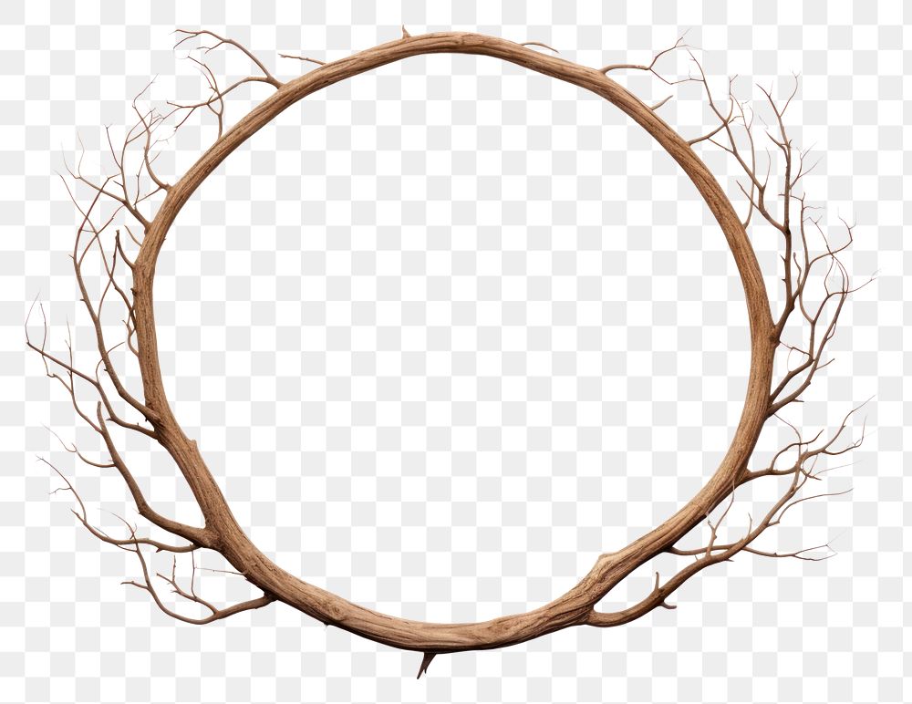 PNG  Tree branch circle wood white background.