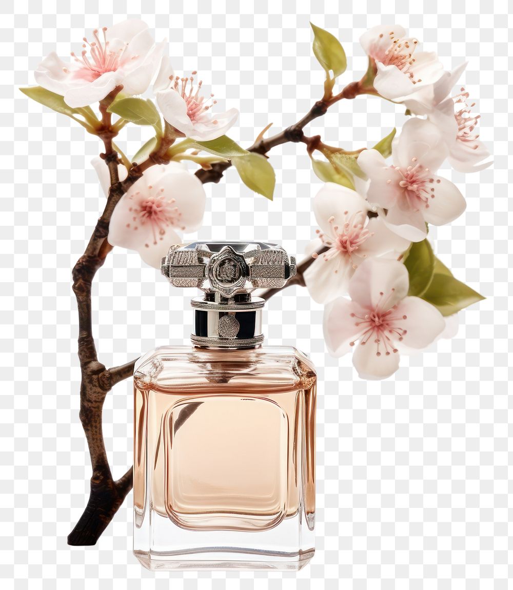 PNG  Tree branch perfume flower cosmetics.
