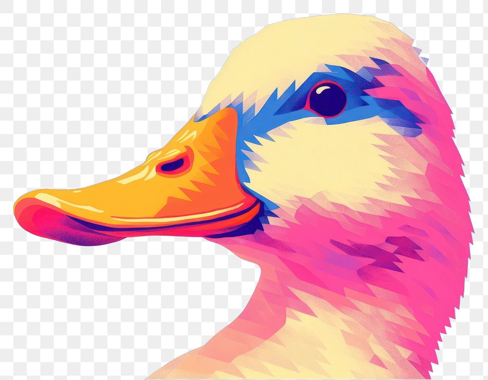 PNG  Duck duck animal bird.