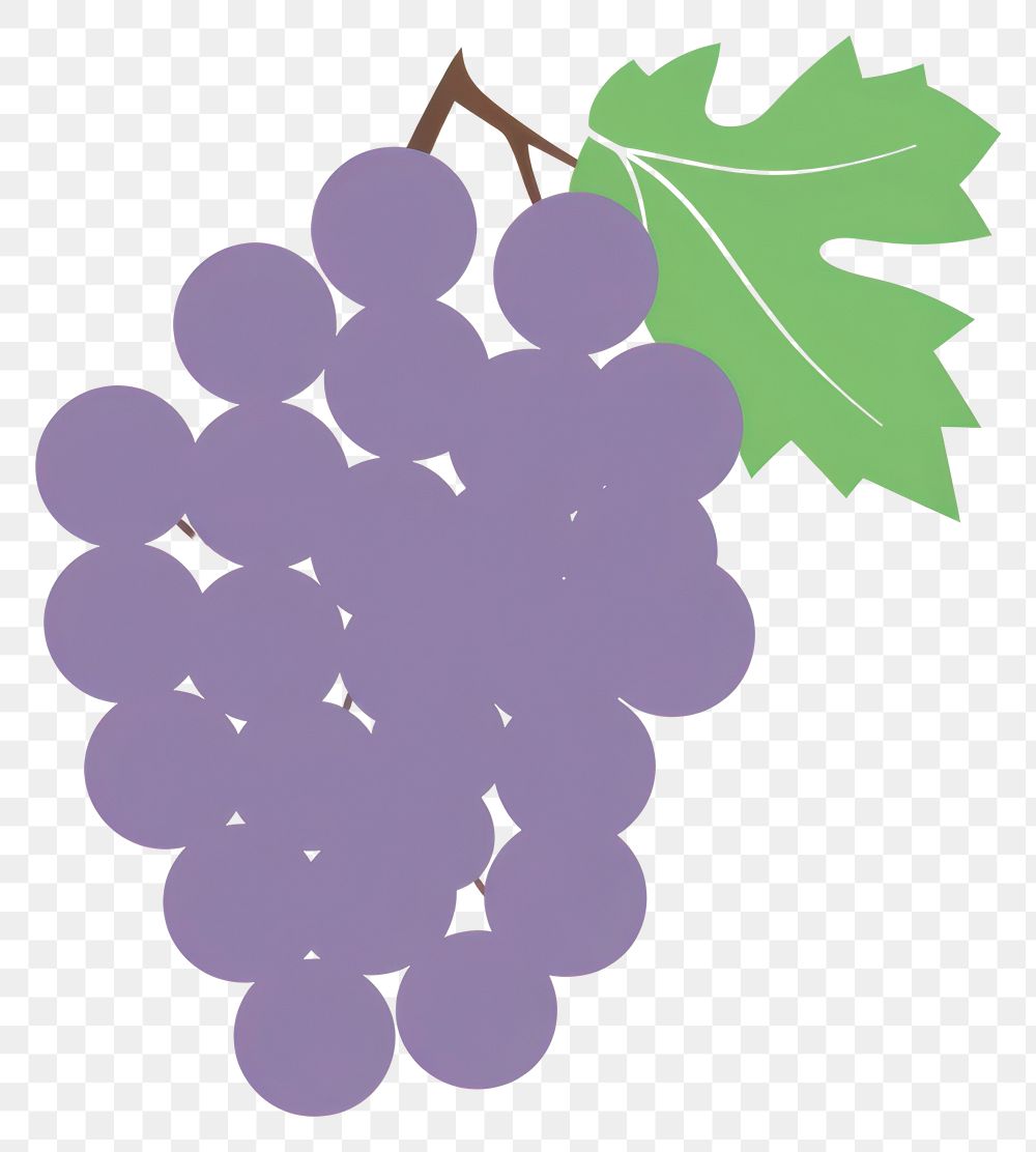 PNG  Illustration of a simple grape grapes fruit plant.