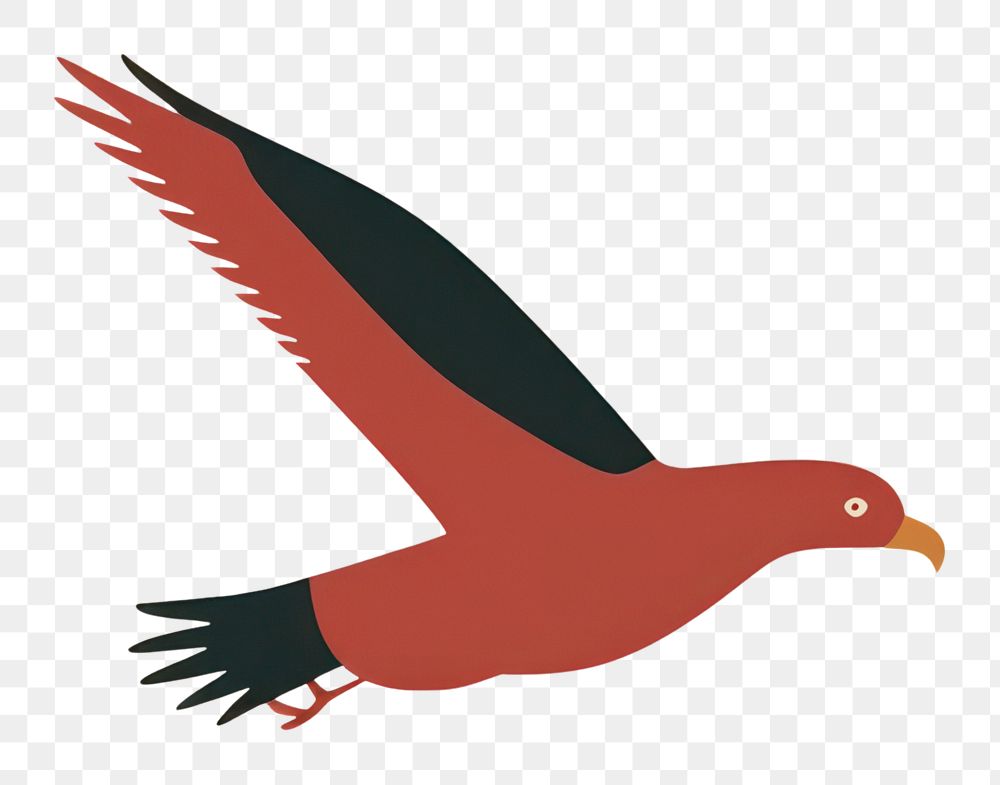 PNG  Illustration of a simple eagle animal flying bird.