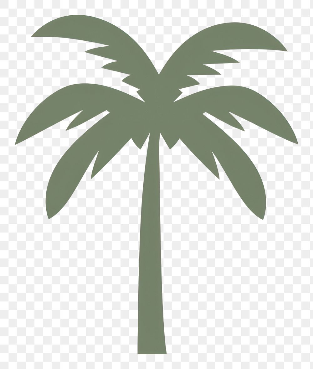PNG  Illustration of a simple palm tree symbol plant arecaceae.