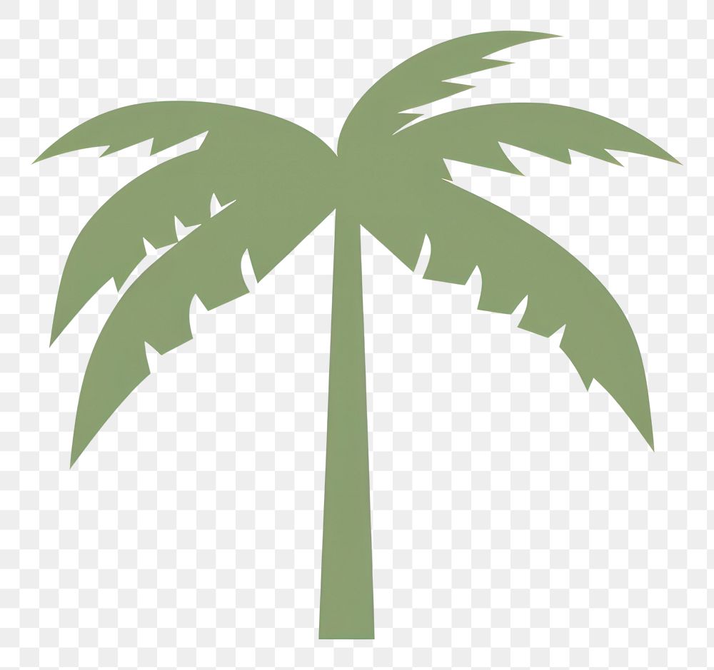 PNG  Illustration of a simple palm tree plant leaf arecaceae.