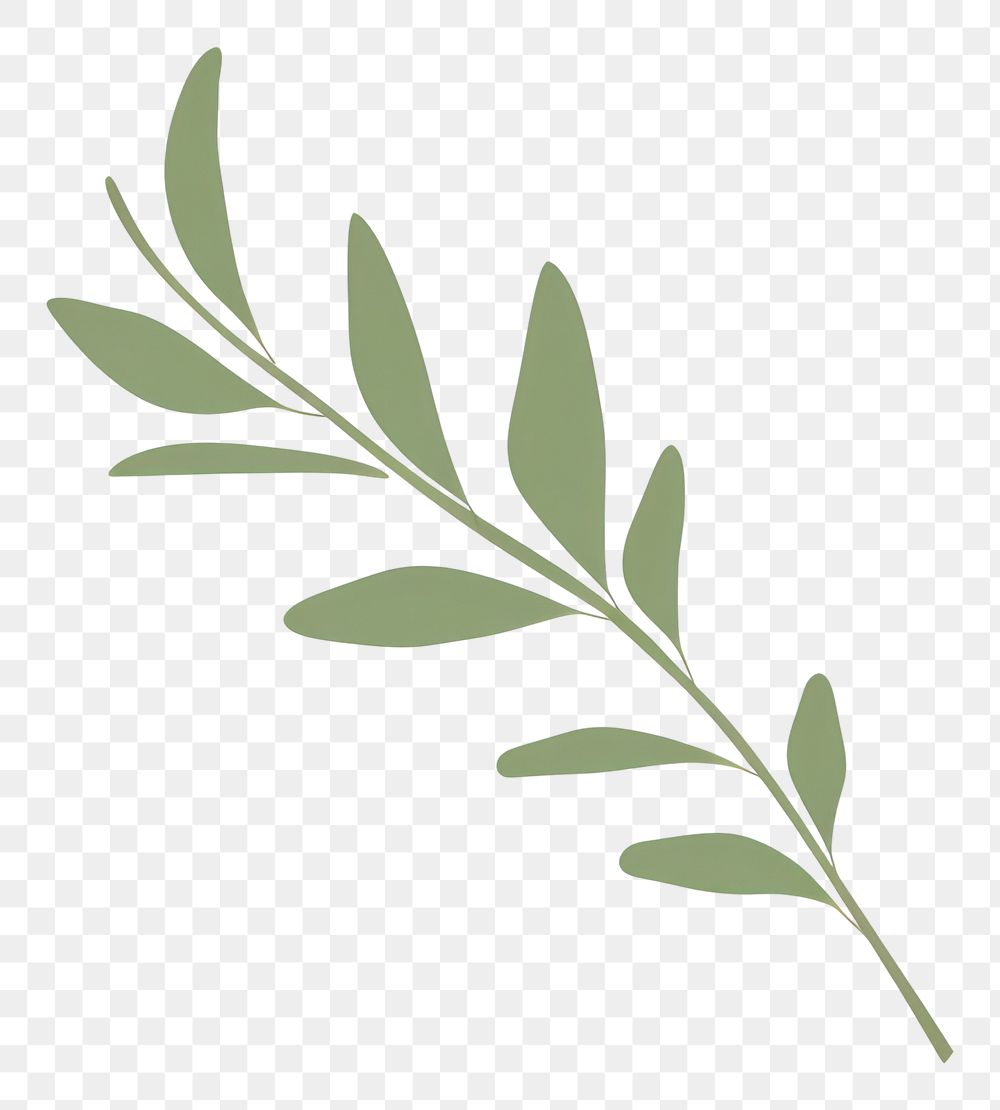 PNG  Illustration of a simple Twig Green Leaves green plant herbs