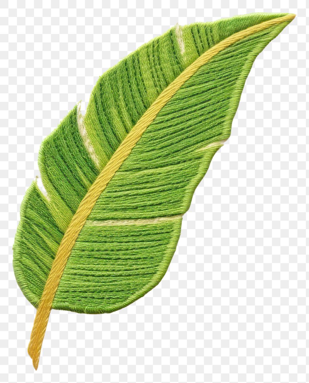 PNG Banana leaf in embroidery style textile plant accessories.
