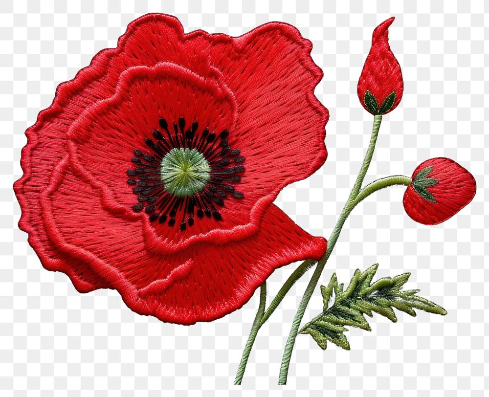 PNG Poppy flower in embroidery style plant inflorescence freshness.