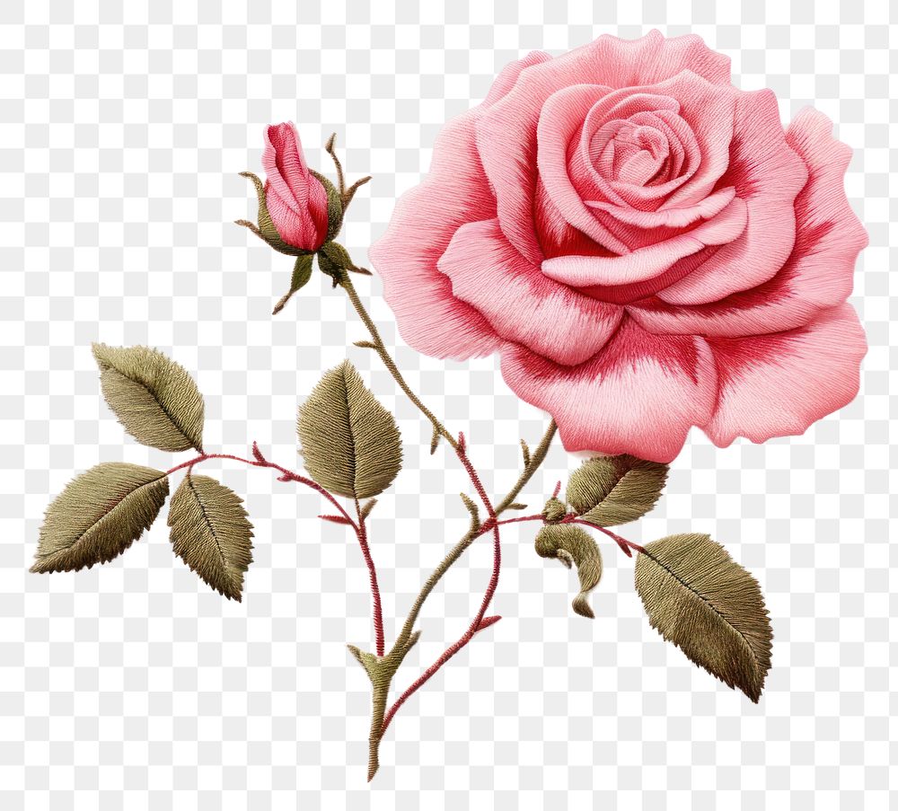 PNG Pink rose in embroidery style pattern flower plant